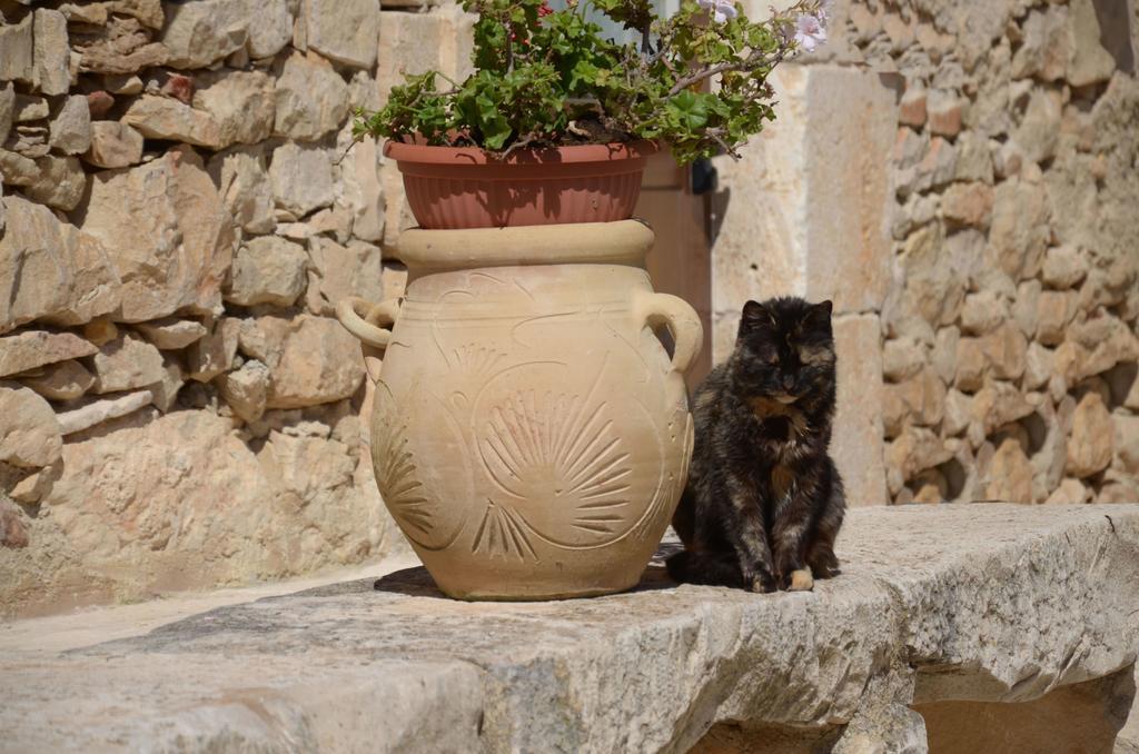 Maison d'hôtes Casina Di Grotta Di Ferro à Santa Croce Camerina Extérieur photo
